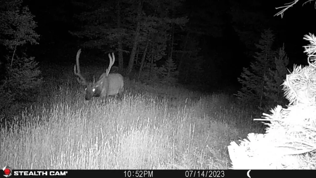 Crow Bar Indian Creek Road Townsend MT 59644