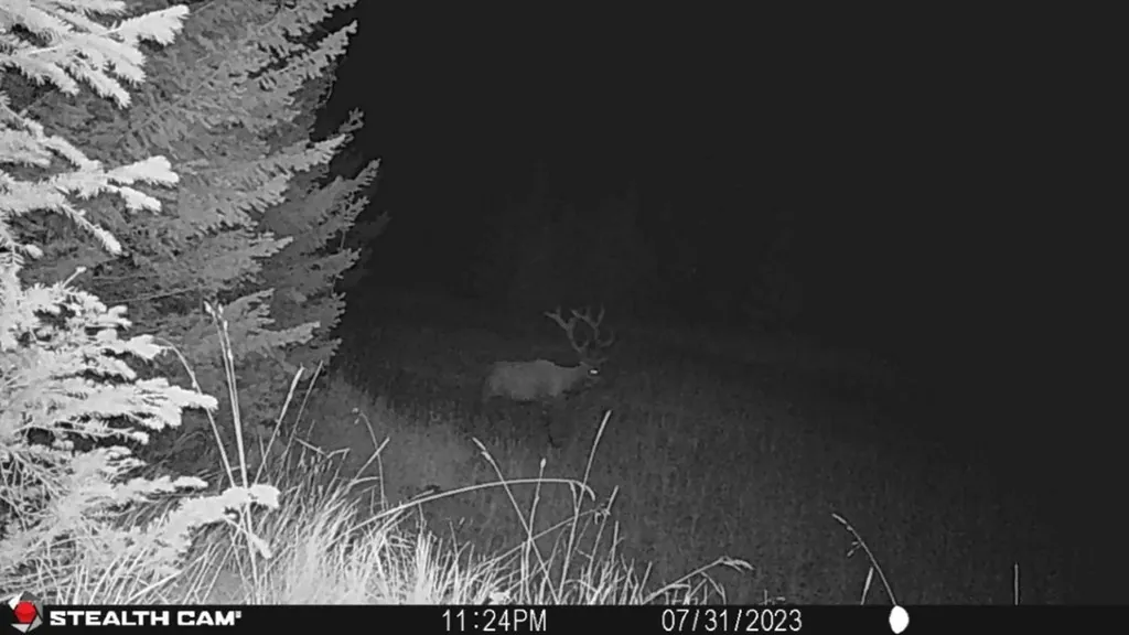 Crow Bar Indian Creek Road Townsend MT 59644