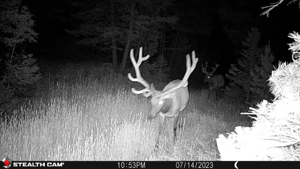 Crow Bar Indian Creek Road Townsend MT 59644