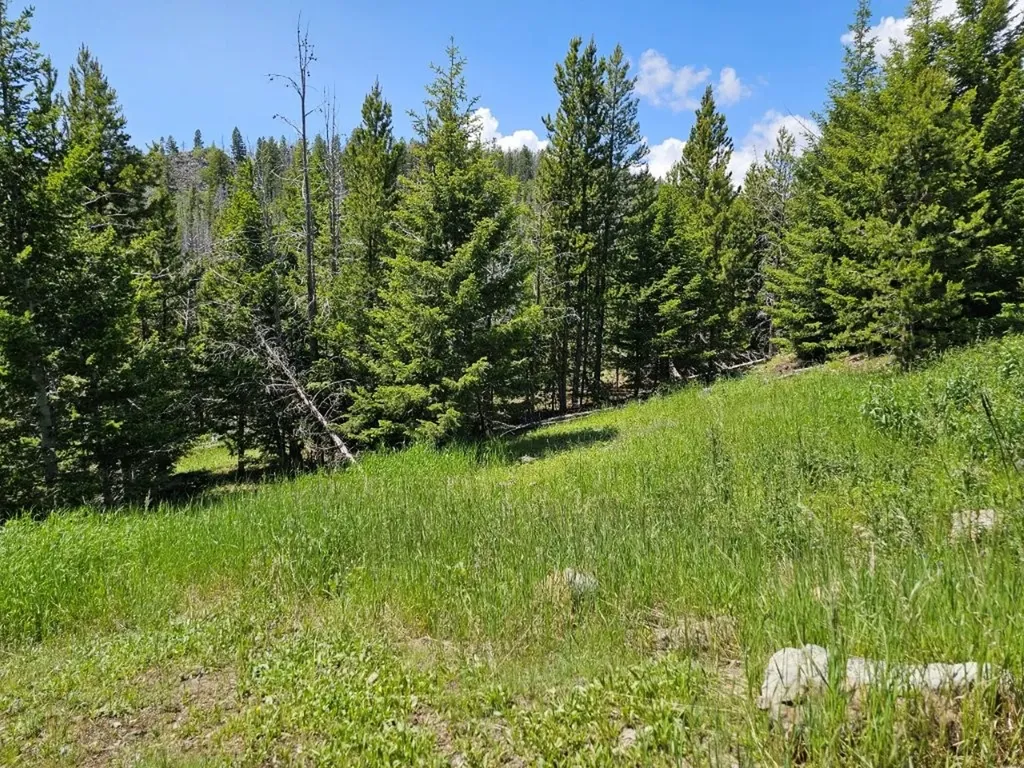 Crow Bar Indian Creek Road Townsend MT 59644