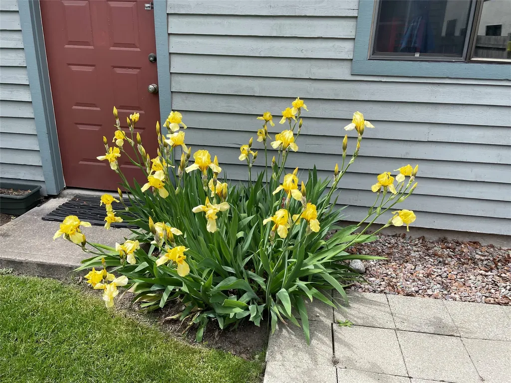 844 3rd Avenue E Kalispell MT 59901