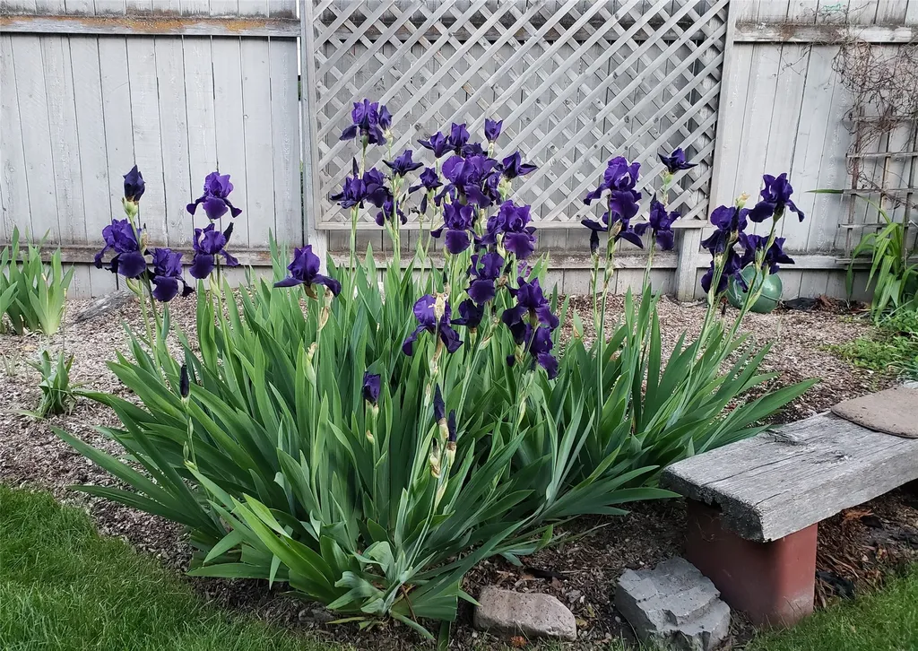 844 3rd Avenue E Kalispell MT 59901