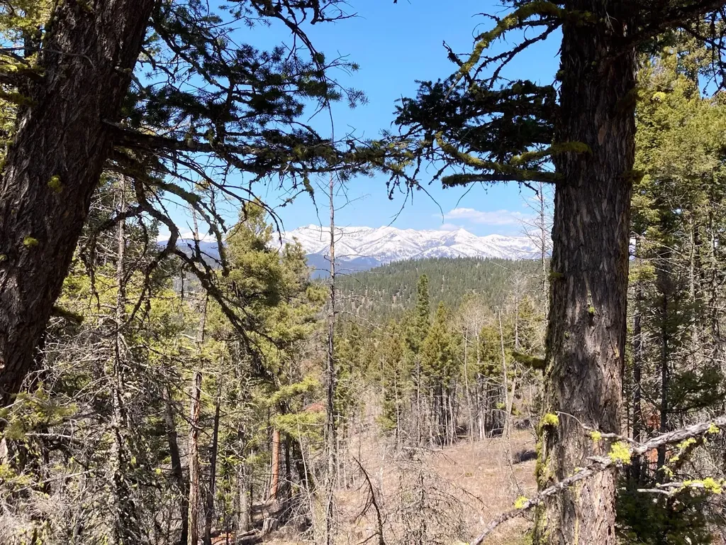3595 Bear Gulch Road Lincoln MT 59639