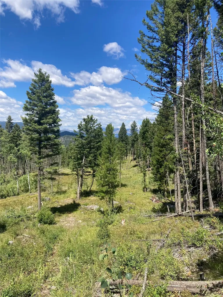 3595 Bear Gulch Road Lincoln MT 59639