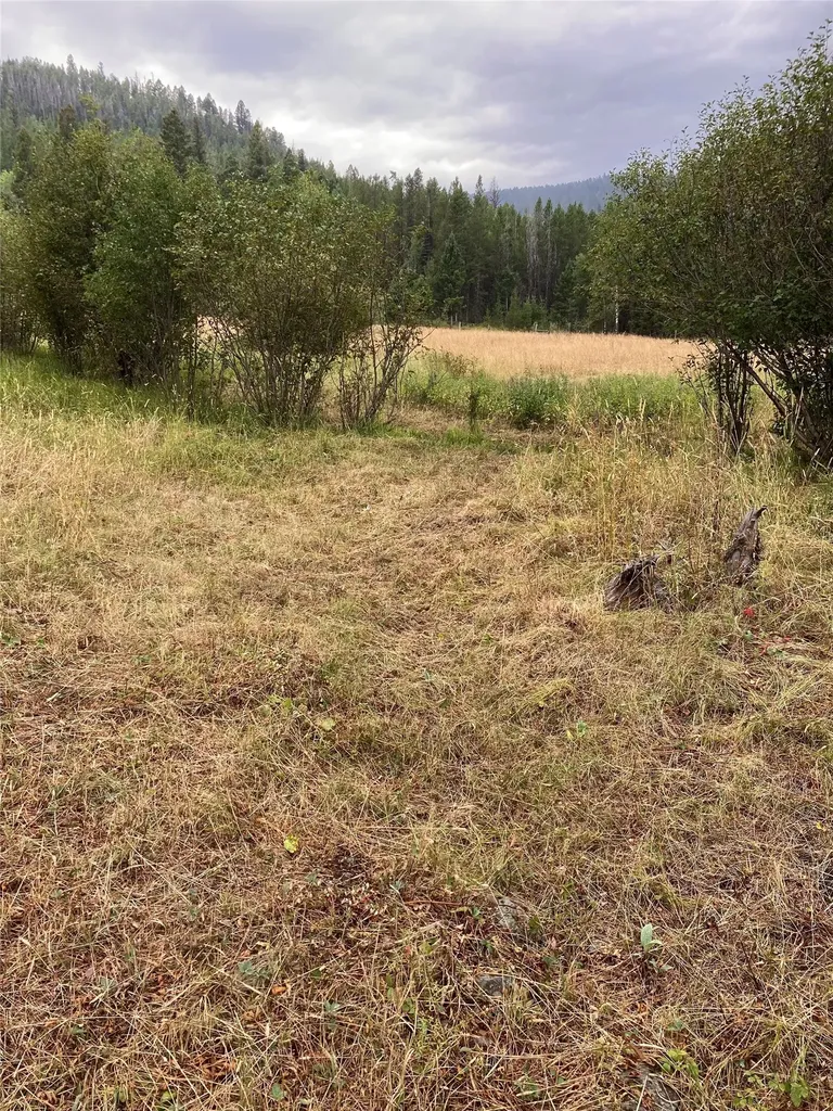 3595 Bear Gulch Road Lincoln MT 59639