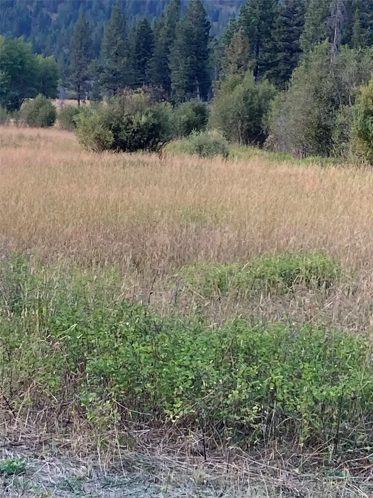 3595 Bear Gulch Road Lincoln MT 59639
