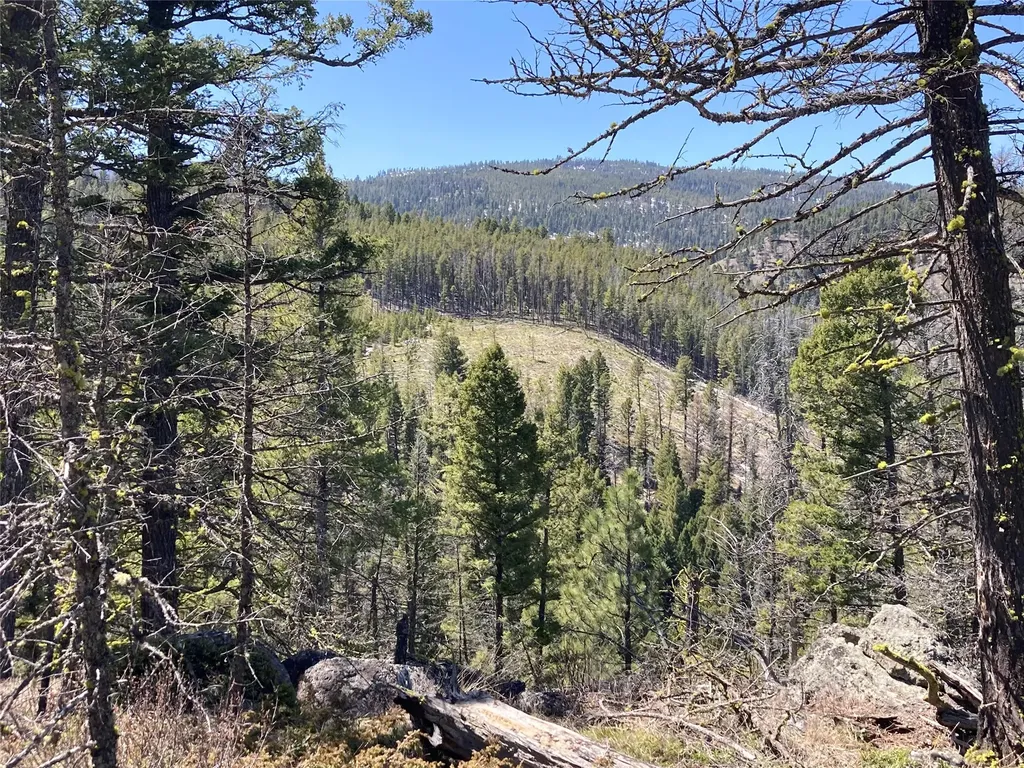 3595 Bear Gulch Road Lincoln MT 59639