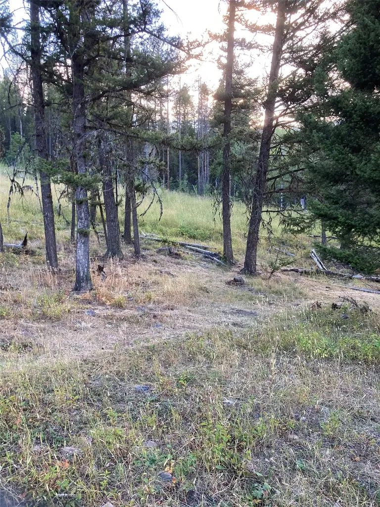 3595 Bear Gulch Road Lincoln MT 59639