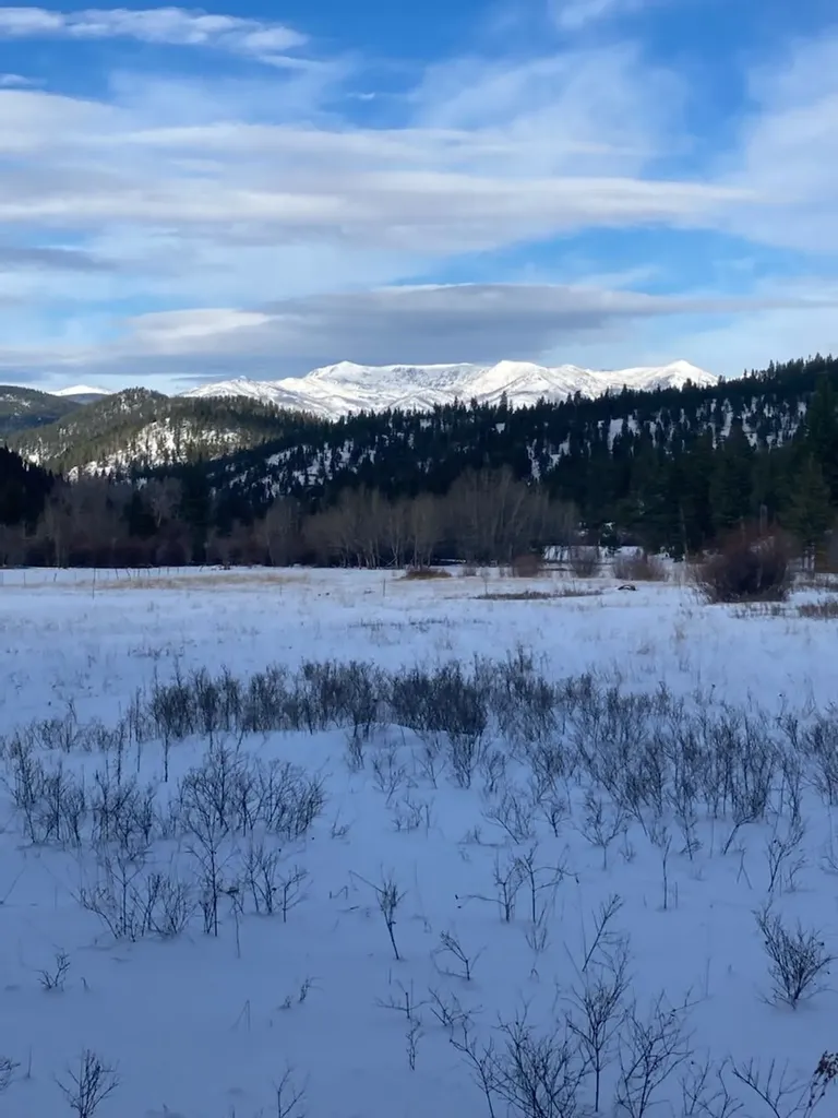 3595 Bear Gulch Road Lincoln MT 59639