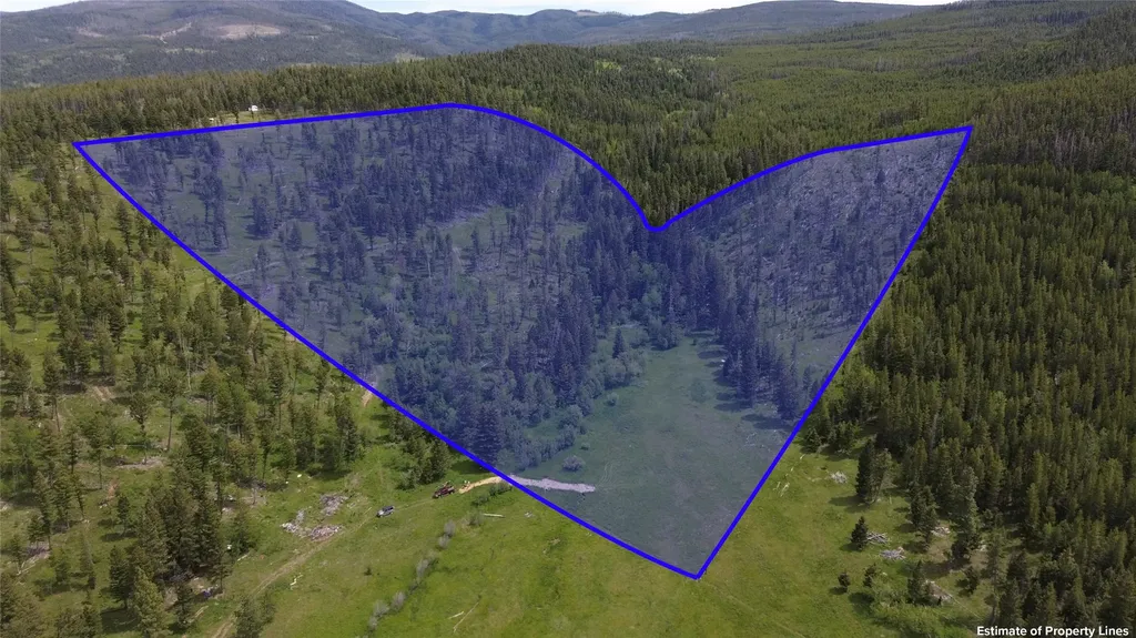 3595 Bear Gulch Road Lincoln MT 59639
