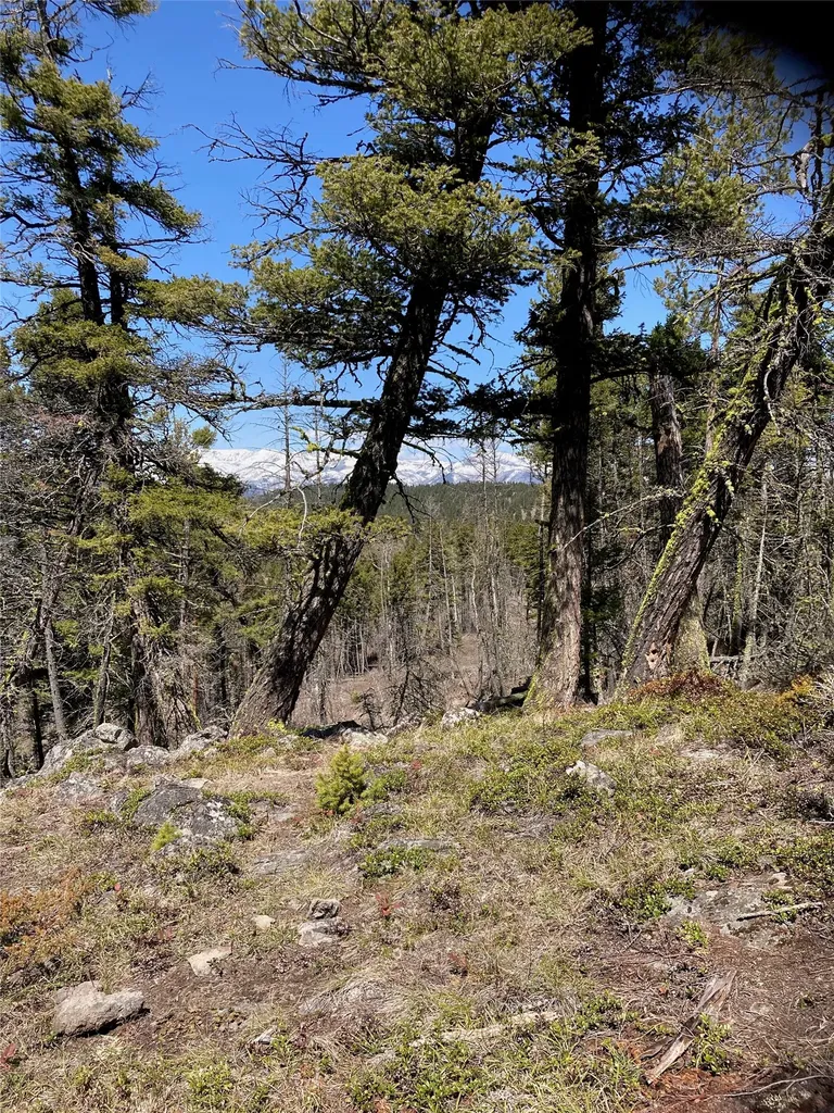 3595 Bear Gulch Road Lincoln MT 59639