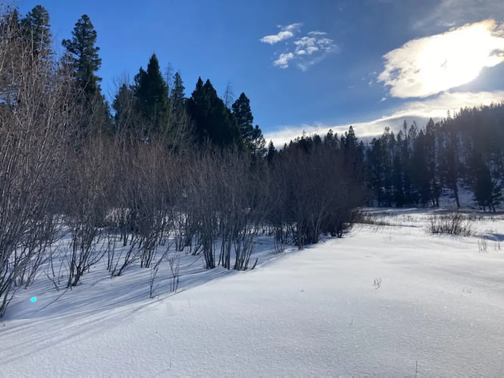 3595 Bear Gulch Road Lincoln MT 59639