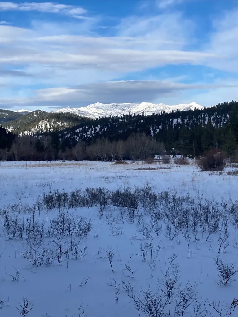 3595 Bear Gulch Road Lincoln MT 59639