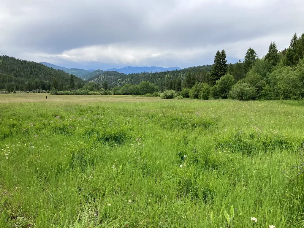 3595 Bear Gulch Road Lincoln MT 59639