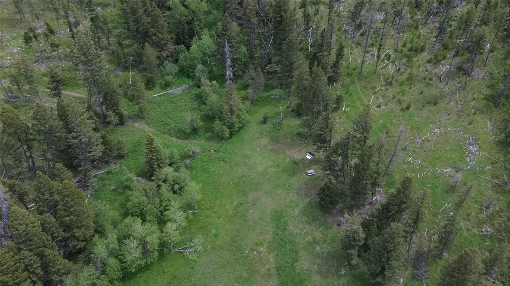 3595 Bear Gulch Road Lincoln MT 59639