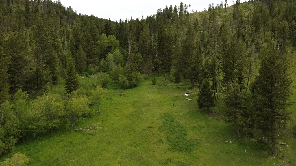 3595 Bear Gulch Road Lincoln MT 59639