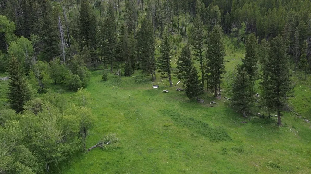 3595 Bear Gulch Road Lincoln MT 59639