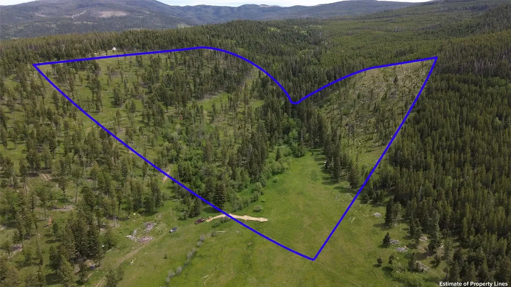 3595 Bear Gulch Road Lincoln MT 59639