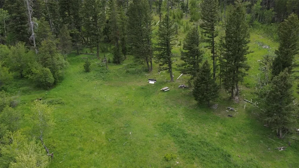 3595 Bear Gulch Road Lincoln MT 59639