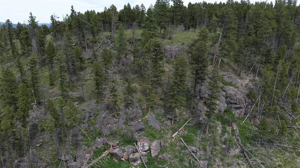 3595 Bear Gulch Road Lincoln MT 59639