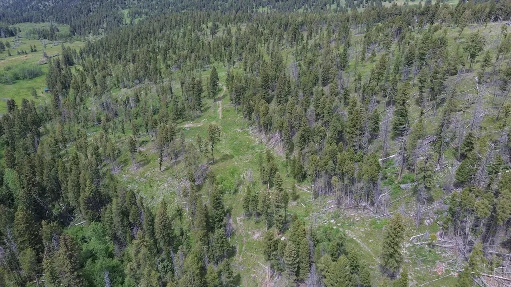 3595 Bear Gulch Road Lincoln MT 59639