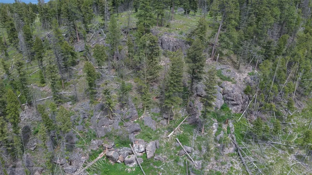 3595 Bear Gulch Road Lincoln MT 59639