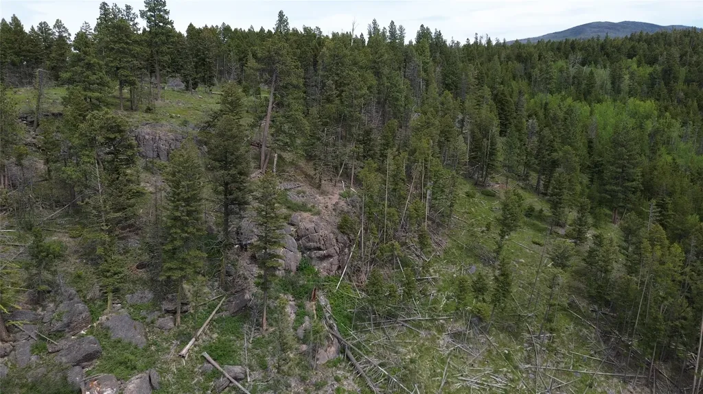 3595 Bear Gulch Road Lincoln MT 59639