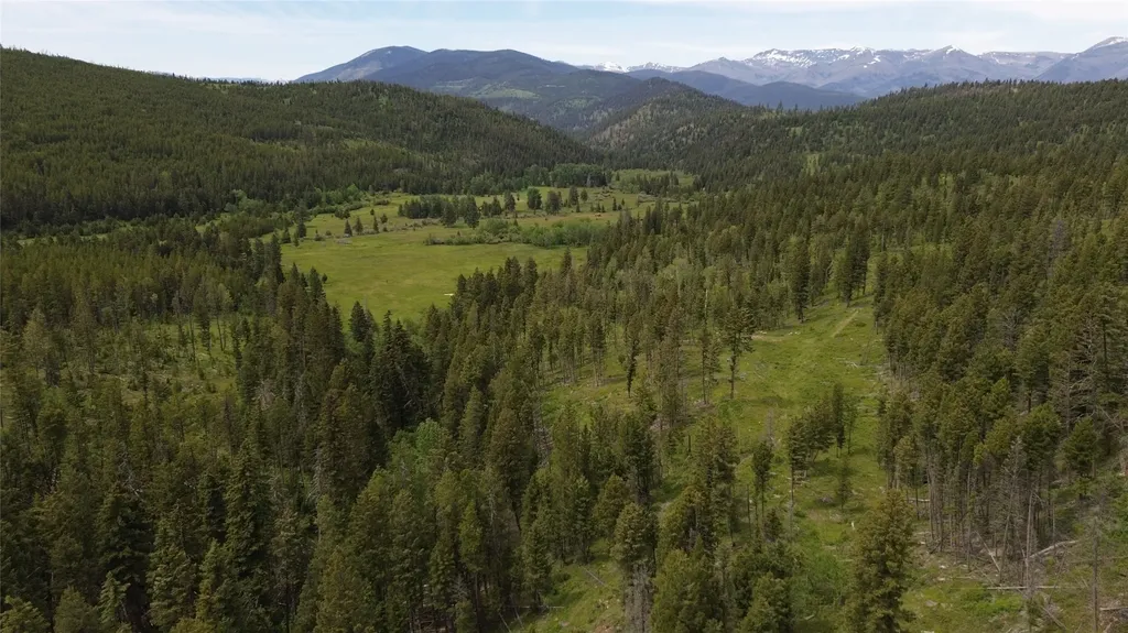 3595 Bear Gulch Road Lincoln MT 59639
