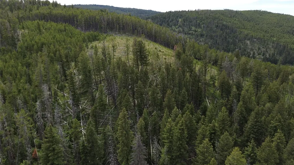 3595 Bear Gulch Road Lincoln MT 59639