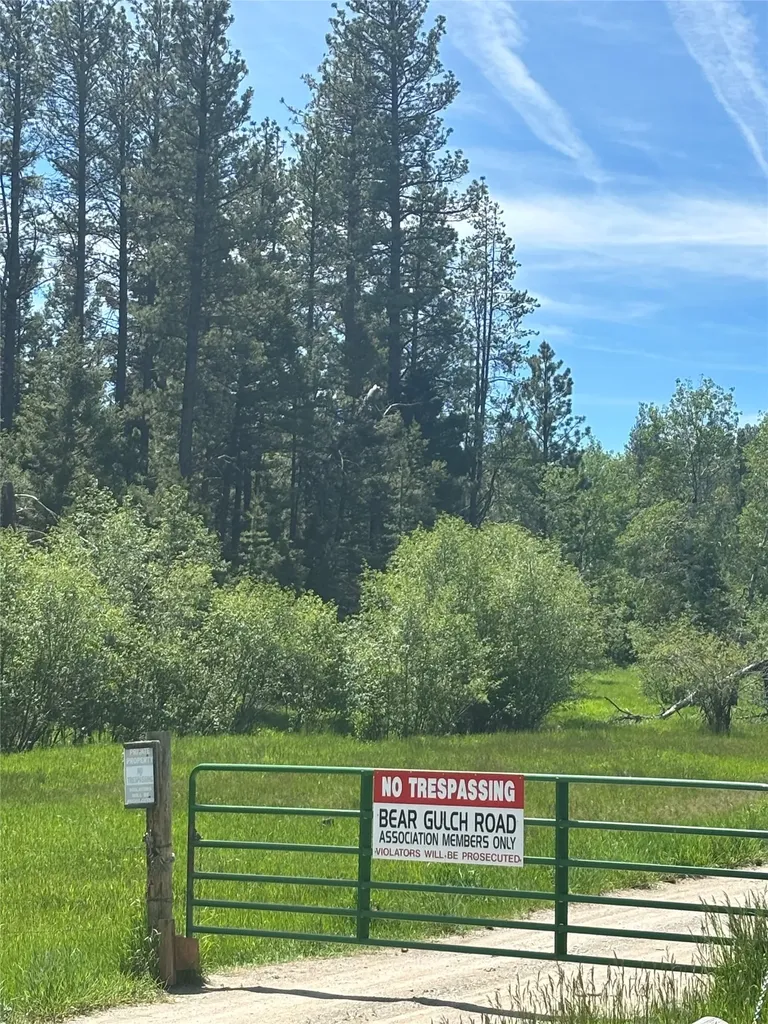 3595 Bear Gulch Road Lincoln MT 59639