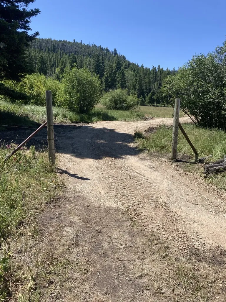 3595 Bear Gulch Road Lincoln MT 59639