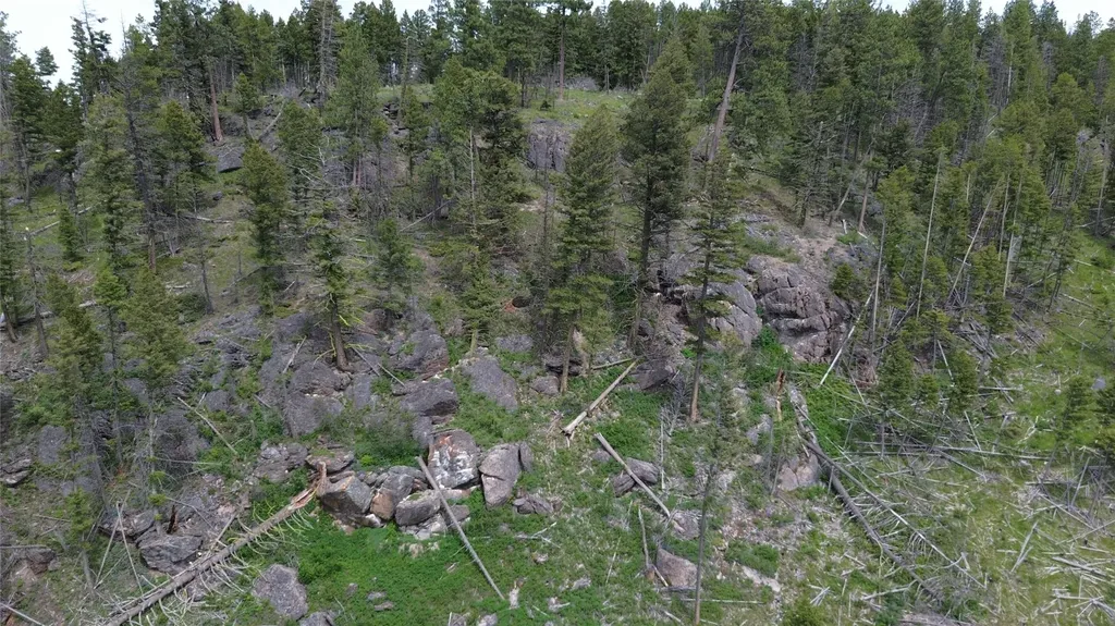 3595 Bear Gulch Road Lincoln MT 59639