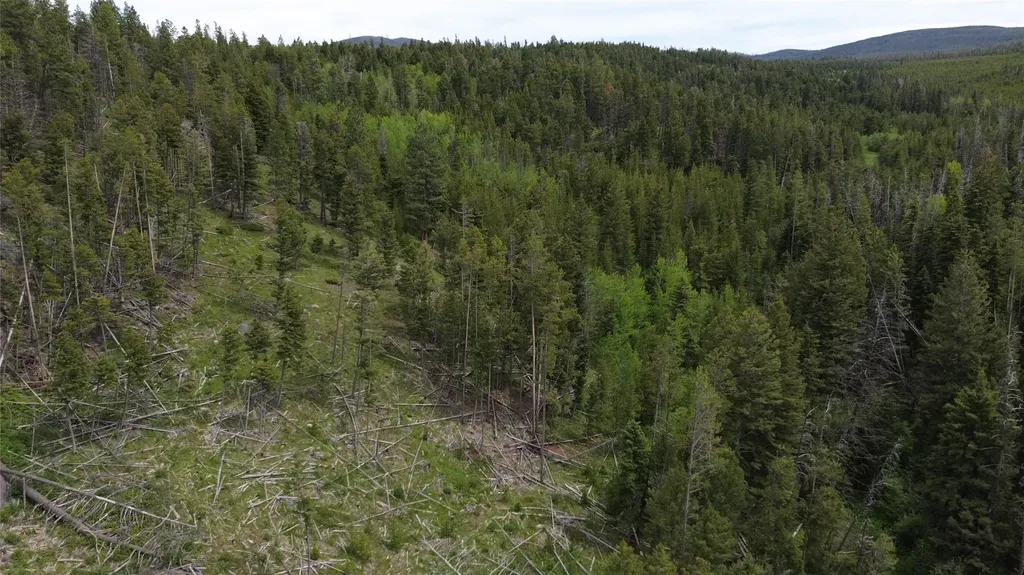 3595 Bear Gulch Road Lincoln MT 59639