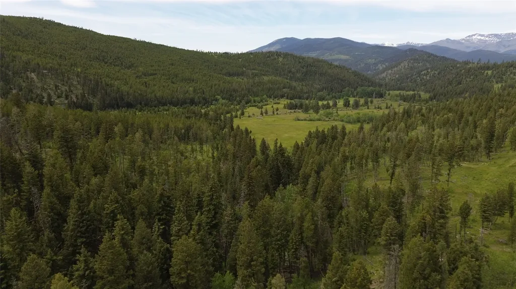 3595 Bear Gulch Road Lincoln MT 59639