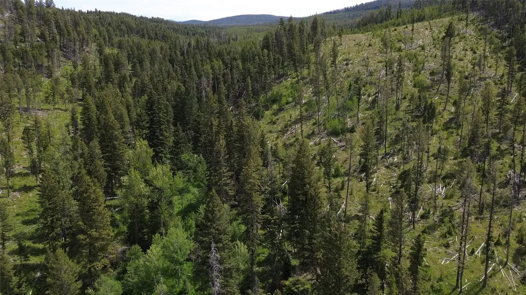 3595 Bear Gulch Road Lincoln MT 59639