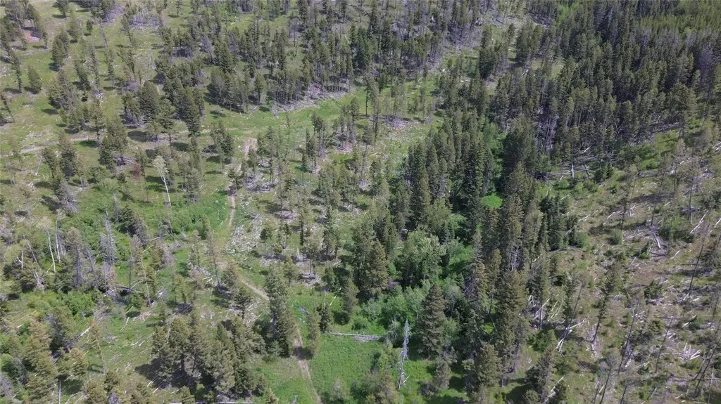 3595 Bear Gulch Road Lincoln MT 59639