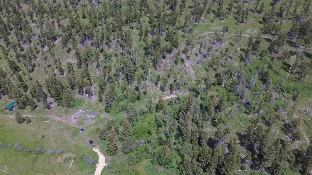 3595 Bear Gulch Road Lincoln MT 59639