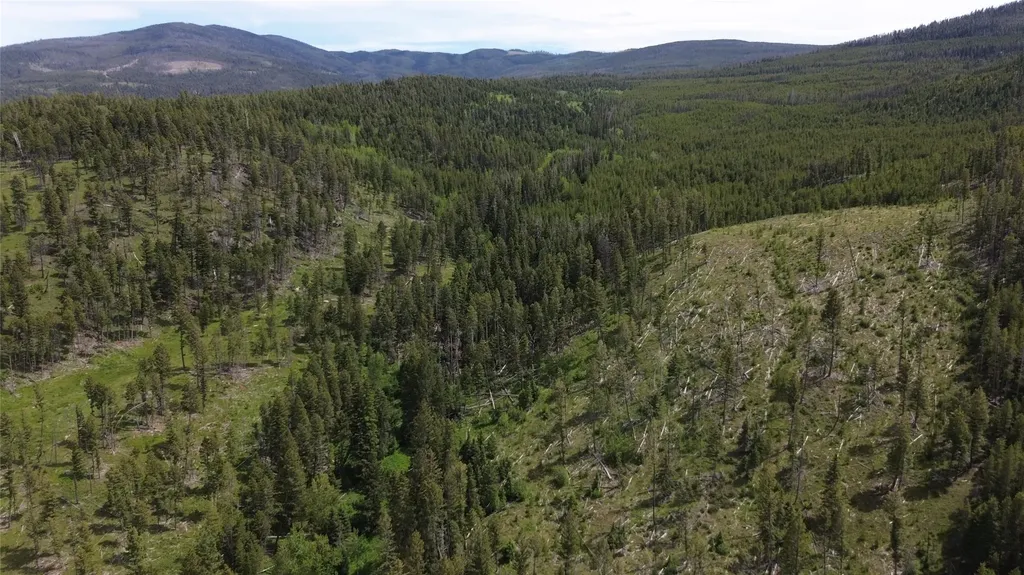 3595 Bear Gulch Road Lincoln MT 59639