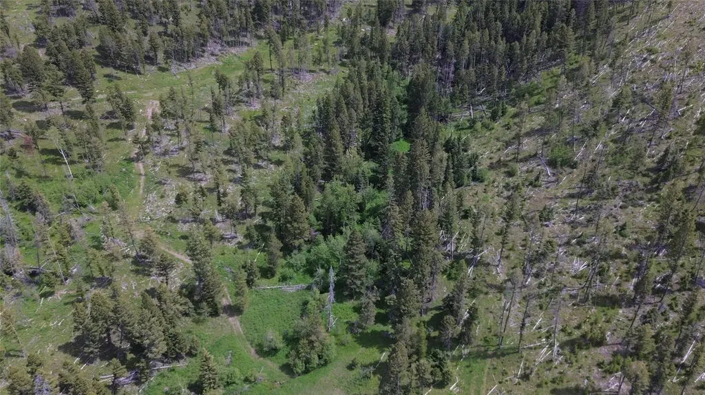 3595 Bear Gulch Road Lincoln MT 59639