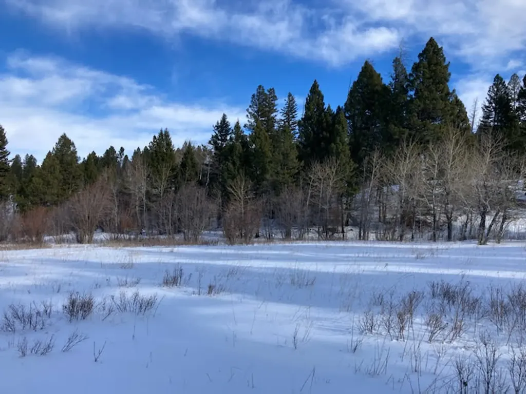 3595 Bear Gulch Road Lincoln MT 59639