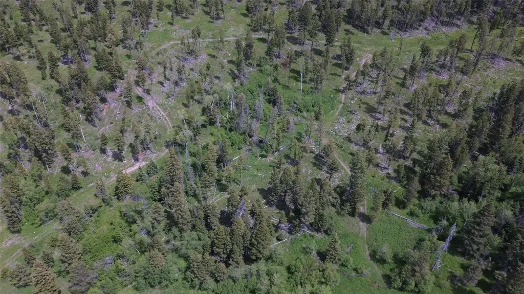3595 Bear Gulch Road Lincoln MT 59639