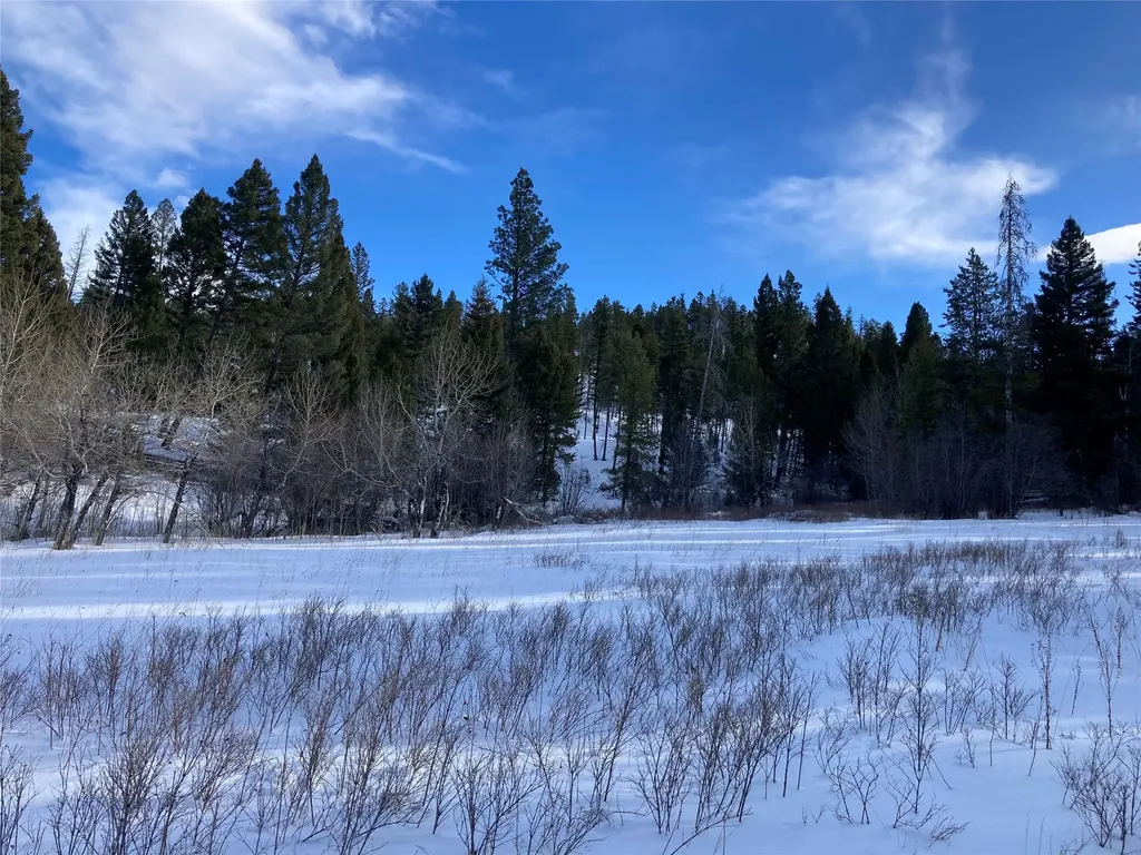 3595 Bear Gulch Road Lincoln MT 59639