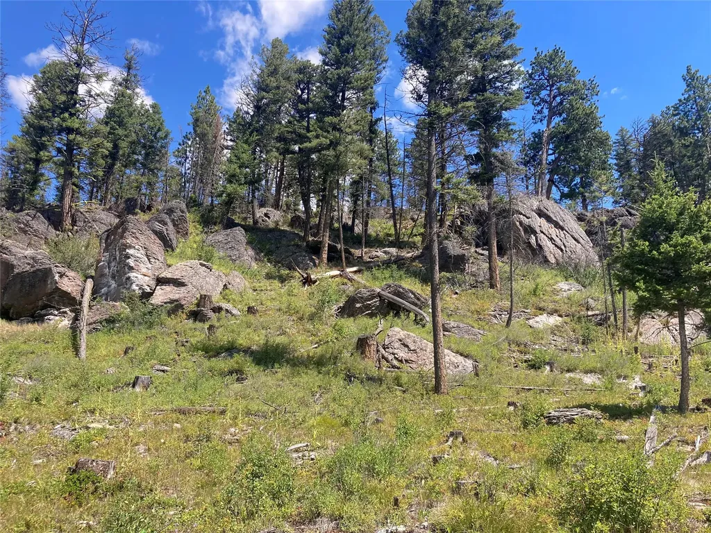 3595 Bear Gulch Road Lincoln MT 59639