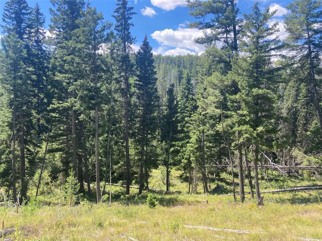 3595 Bear Gulch Road Lincoln MT 59639