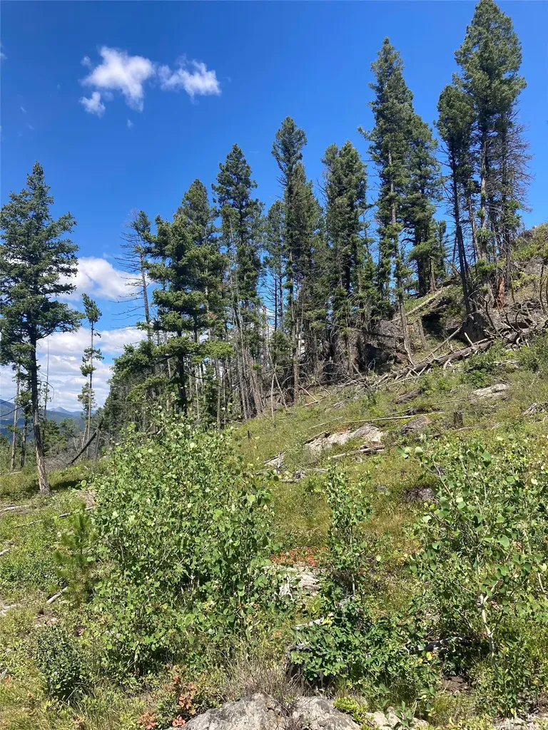 3595 Bear Gulch Road Lincoln MT 59639