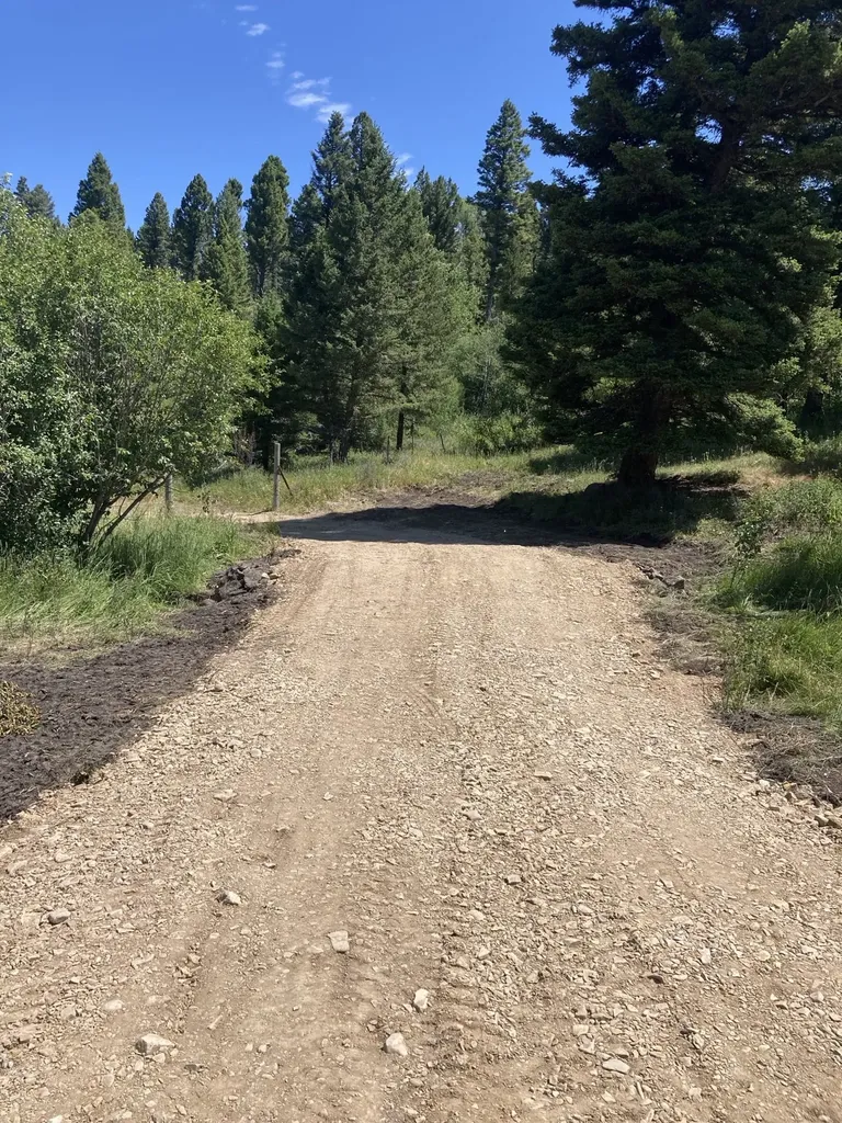 3595 Bear Gulch Road Lincoln MT 59639