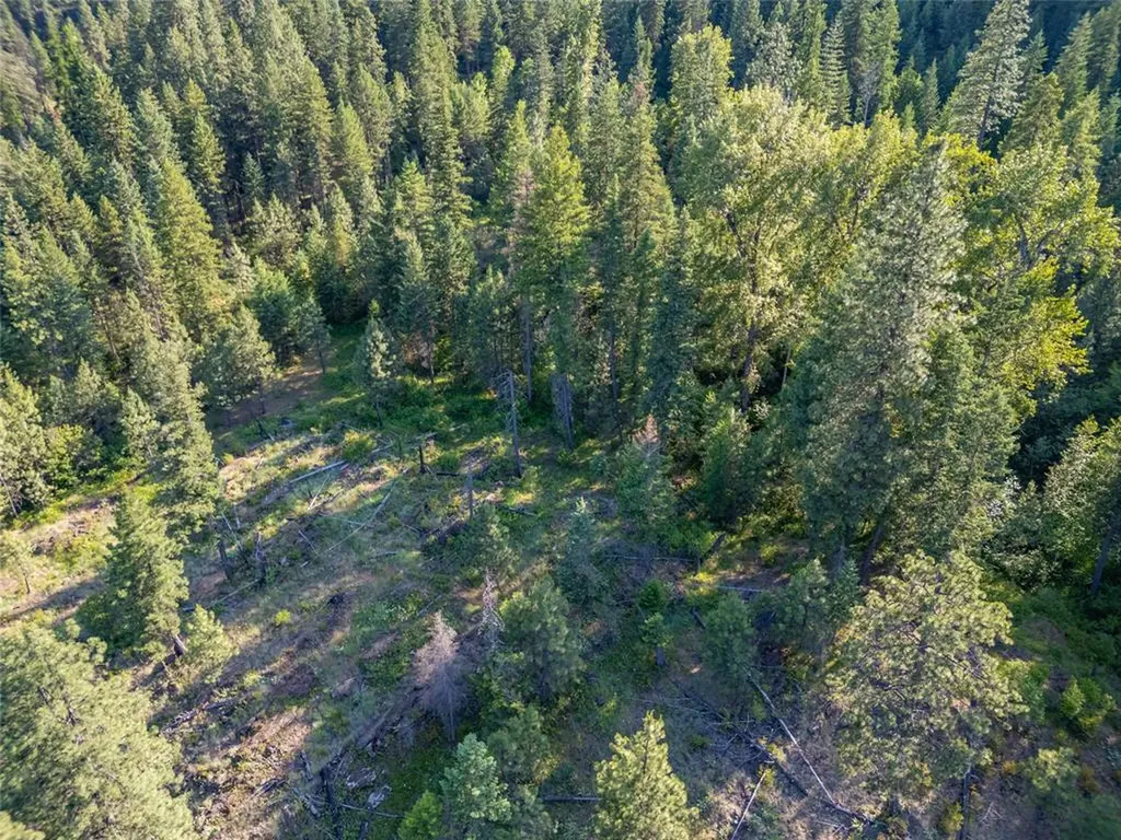 Tbd Dent Avenue Troy MT 59935