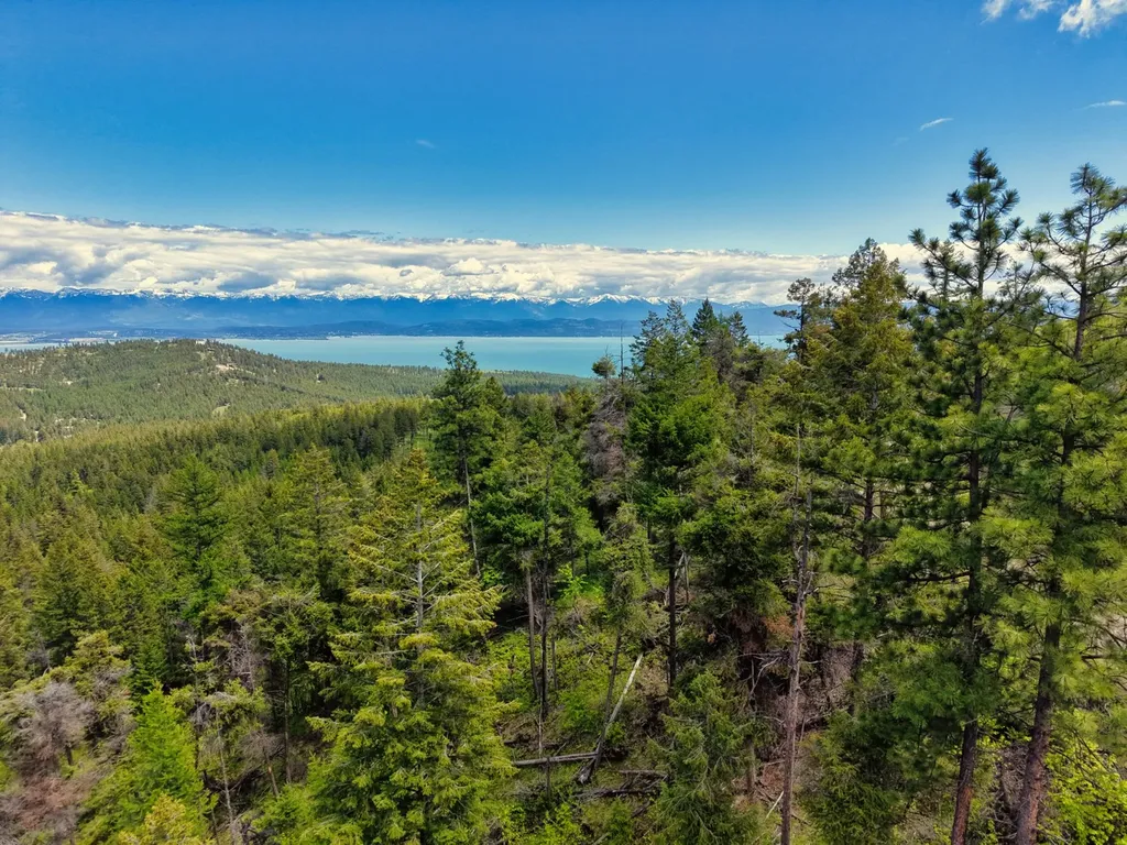 370 Longrider Lane Lakeside MT 59922