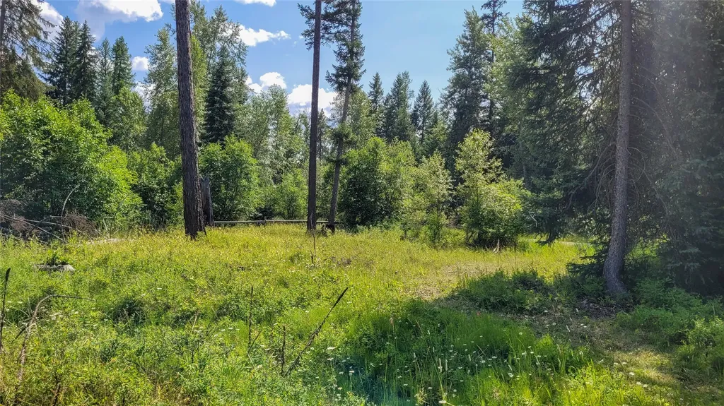 349 Champion Haul Road S Libby MT 59923