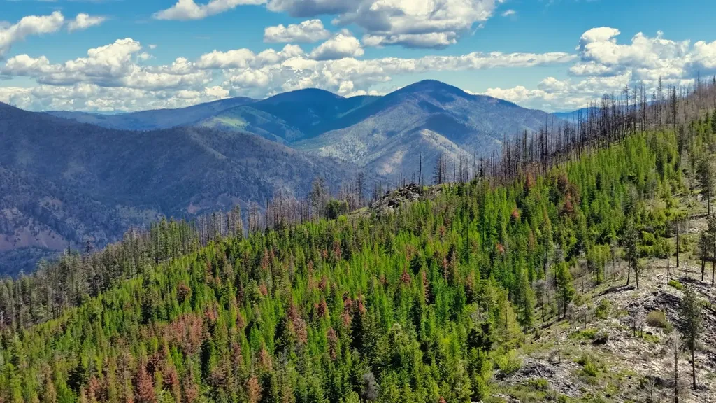 Nhn Highway 28 Plains MT 59859
